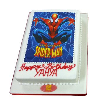 Cake B0026