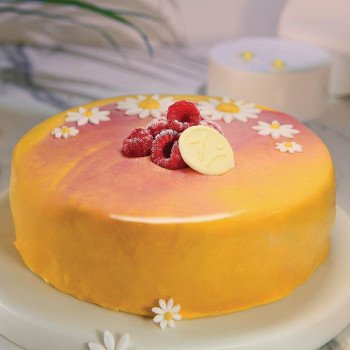 Sunset Gelato Cake